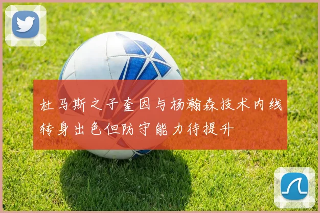杜马斯之子奎因与杨瀚森技术内线转身出色但防守能力待提升